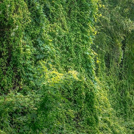 Turisticna Kmetija Stanfel Villa Podsabotin Ngoại thất bức ảnh