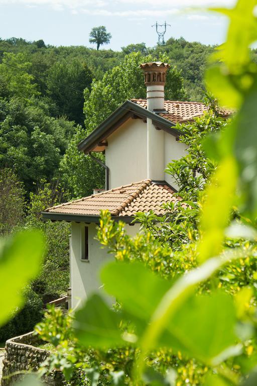 Turisticna Kmetija Stanfel Villa Podsabotin Ngoại thất bức ảnh